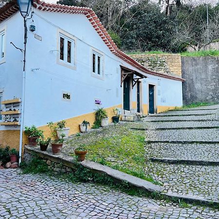Villa Pe Do Castelo Casinha - Pet Friendly & Garage Tomar Exterior foto