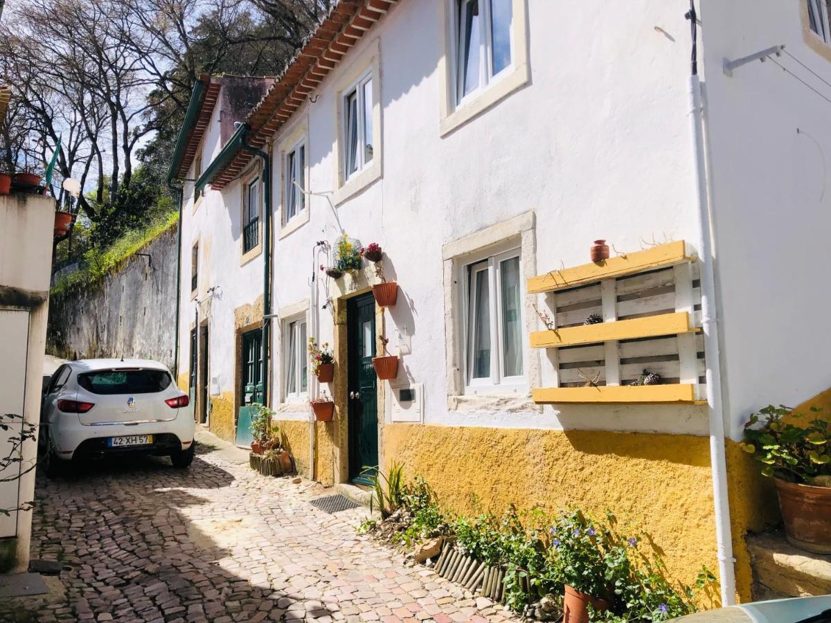 Villa Pe Do Castelo Casinha - Pet Friendly & Garage Tomar Exterior foto